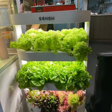 Canva Uploaded Image (51)