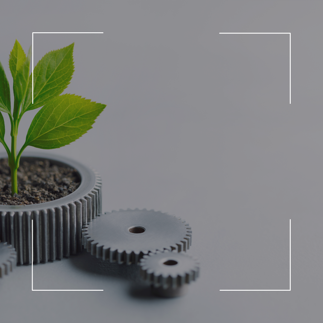 Sustainability Consulting